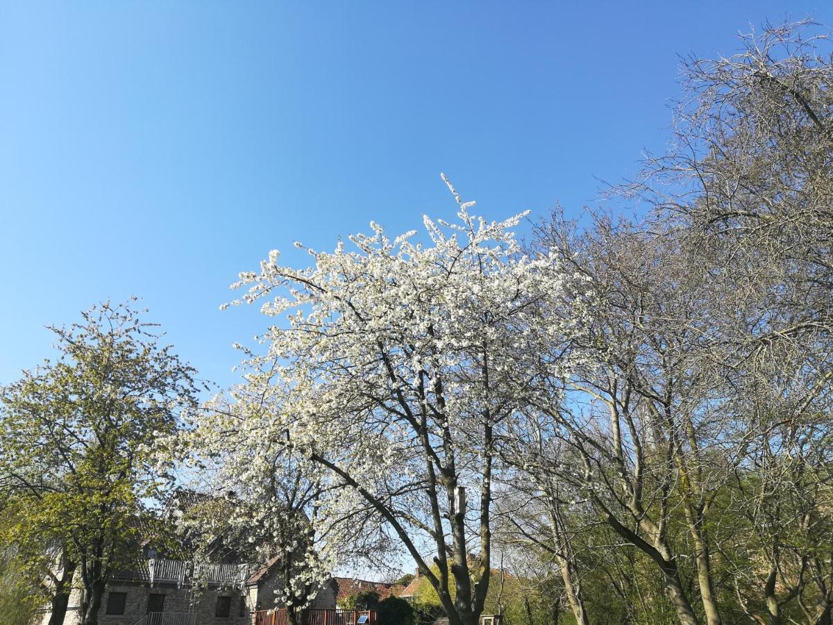 德杜贝尔莫伦住宿加早餐旅馆 通厄伦 外观 照片